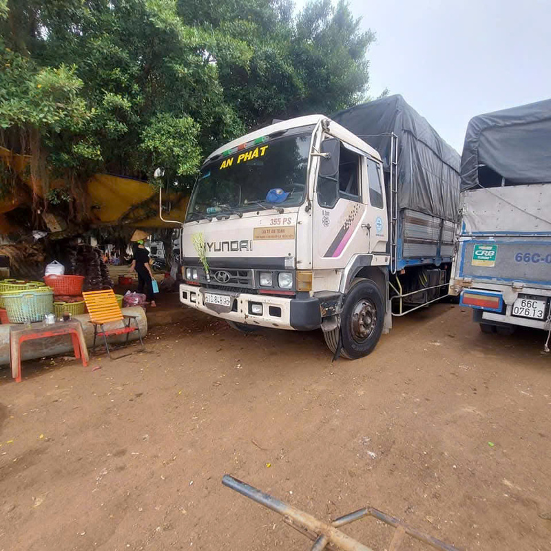 Vận chuyển hàng hóa Bắc Trung Nam