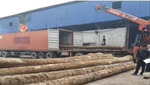 Đóng hàng lên Container