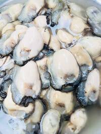 Hàu sữa