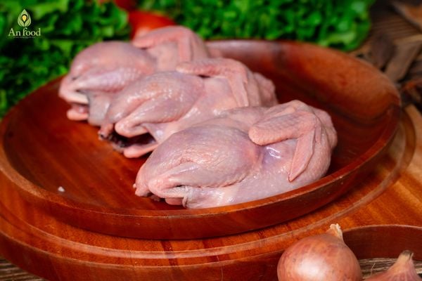 Thịt chim bồ câu