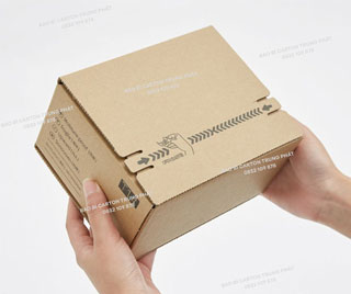 Thùng carton 3 lớp A2