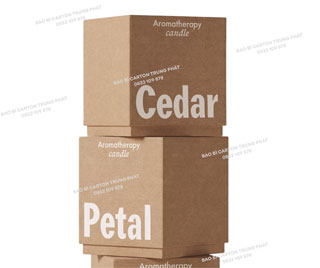 Thùng carton 3 lớp A4
