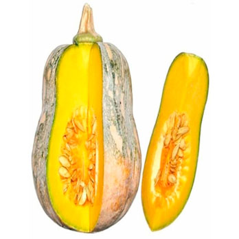 Bí đỏ