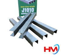 Đinh J1010
