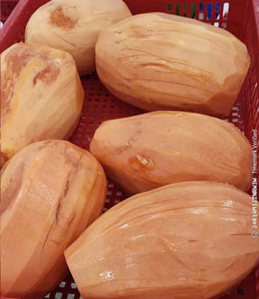 Đu đủ