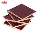 Keo phenolic