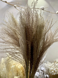 Hoa lau sợi