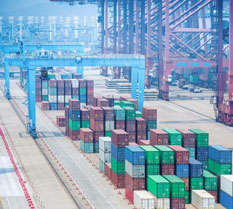 Dịch vụ xuất nhập khẩu