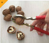 Qủa óc chó Mỹ
