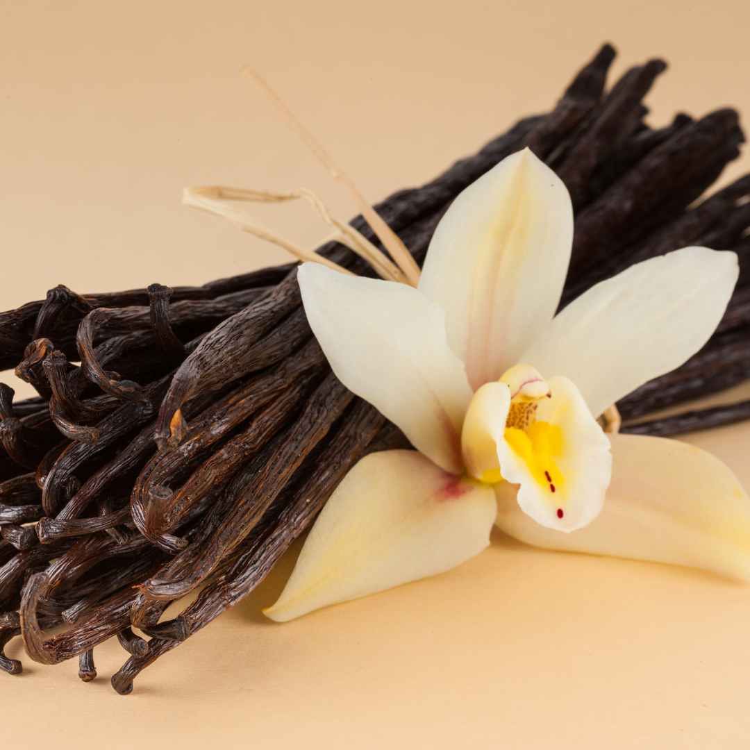 Hương Vani Pháp (Vanilla French Style)