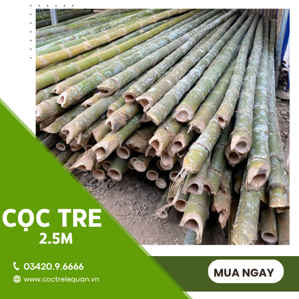 Cọc tre 2.5m