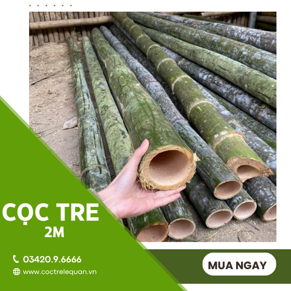 Cọc tre 2m