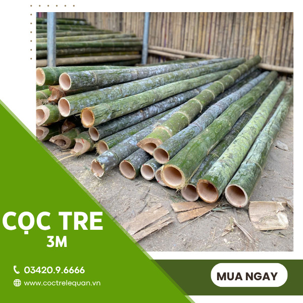 Cọc tre 3m