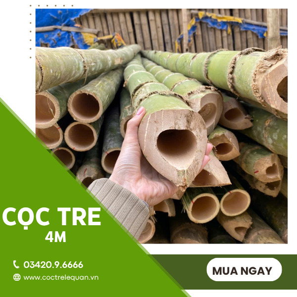 Cọc tre 4m