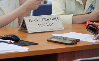 Tổ chức giới thiệu làm việc