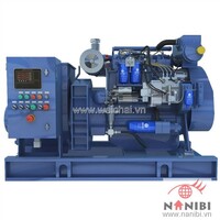 Máy phát điện thủy CCFJ64J-W