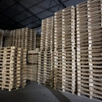 Pallet gỗ tiêu chuẩn
