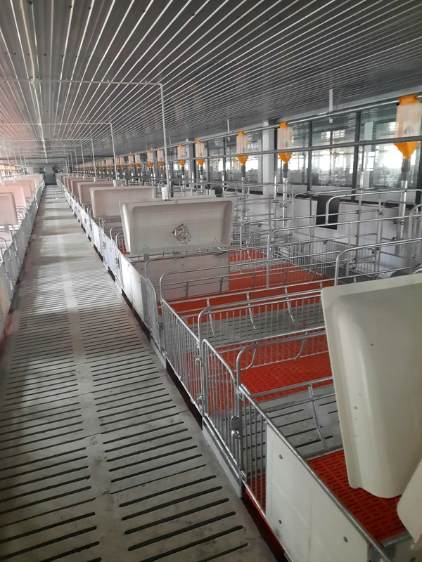 Thiết kế xây dựng chuồng trại