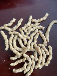 Thịt gà chay