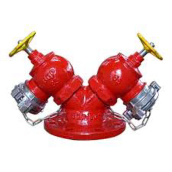 Trụ chữa cháy 2 cửa BQP