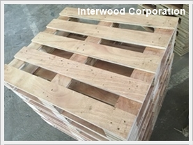 Pallet gỗ dán (ván ép)