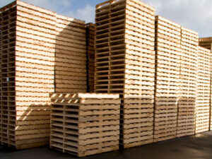 Pallet gỗ tự nhiên