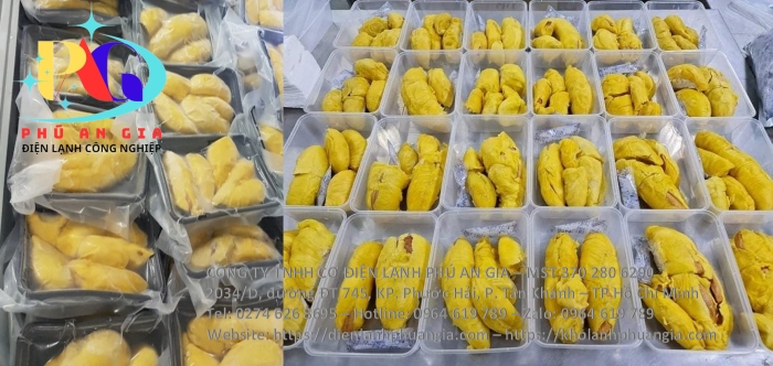 Kho cấp đông múi sầu riêng