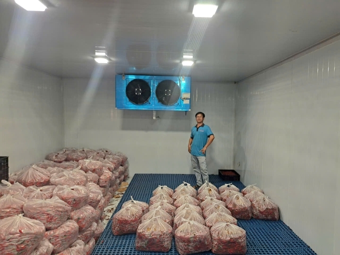 Kho lạnh bảo quản ớt