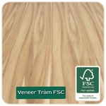 Dán Veneer tràm FSC