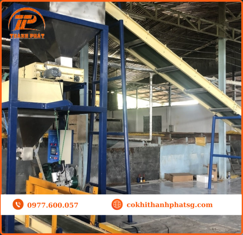 Băng tải thực phẩm mì nui