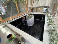 Dịch vụ chống thấm hồ cá coi