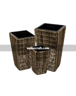 Chậu trồng cây giả mây