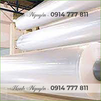Màng PE khổ lớn