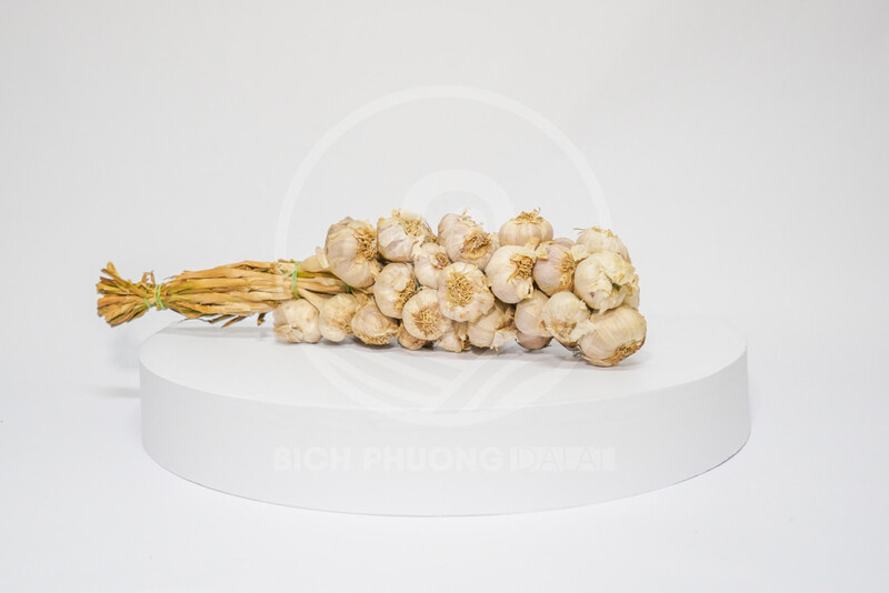 Tỏi Đà Lạt