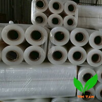 Màng PE quấn máy