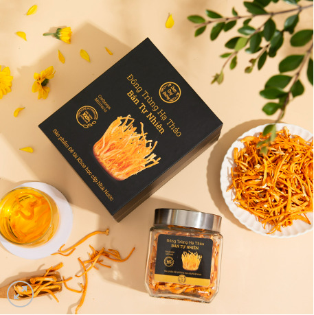 In hộp đông trùng hạ thảo