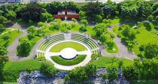 Dịch vụ trồng cây