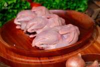 Thịt chim bồ câu