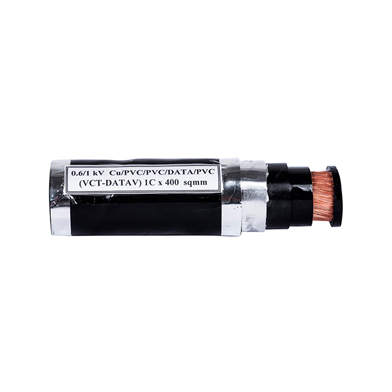 Cáp điện (VCT_DATAV)1C x 400