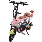 Xe đạp điện DXMIT Pet 2