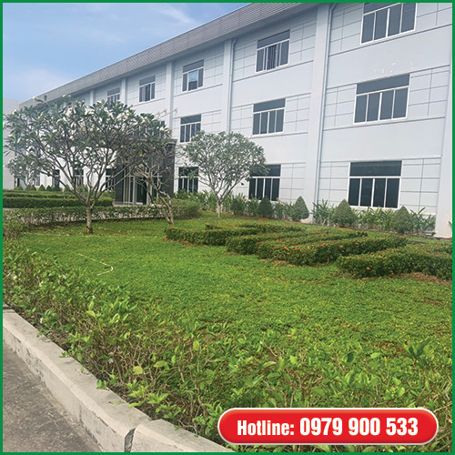 Dịch vụ bảo dưỡng và chăm sóc cây xanh