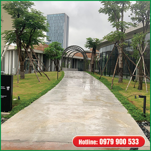 Dịch vụ bảo dưỡng và chăm sóc cây xanh