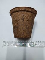 Miếng lót xơ dừa