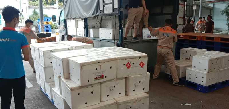 Vận chuyển hàng hóa bằng xe tải