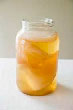 Trà Kombucha