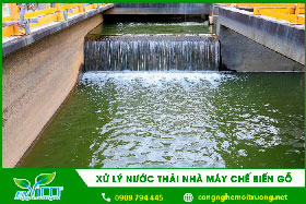 Xử lý nước thải nhà máy chế biến gỗ