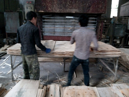 Hình ảnh hoạt động sản xuất