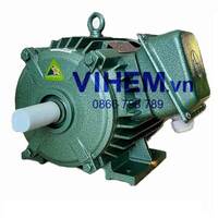 Motor điện 3 pha HEM 3kW