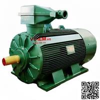 Động cơ điện phòng nổ 132kW