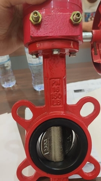 Van bướm tín hiệu